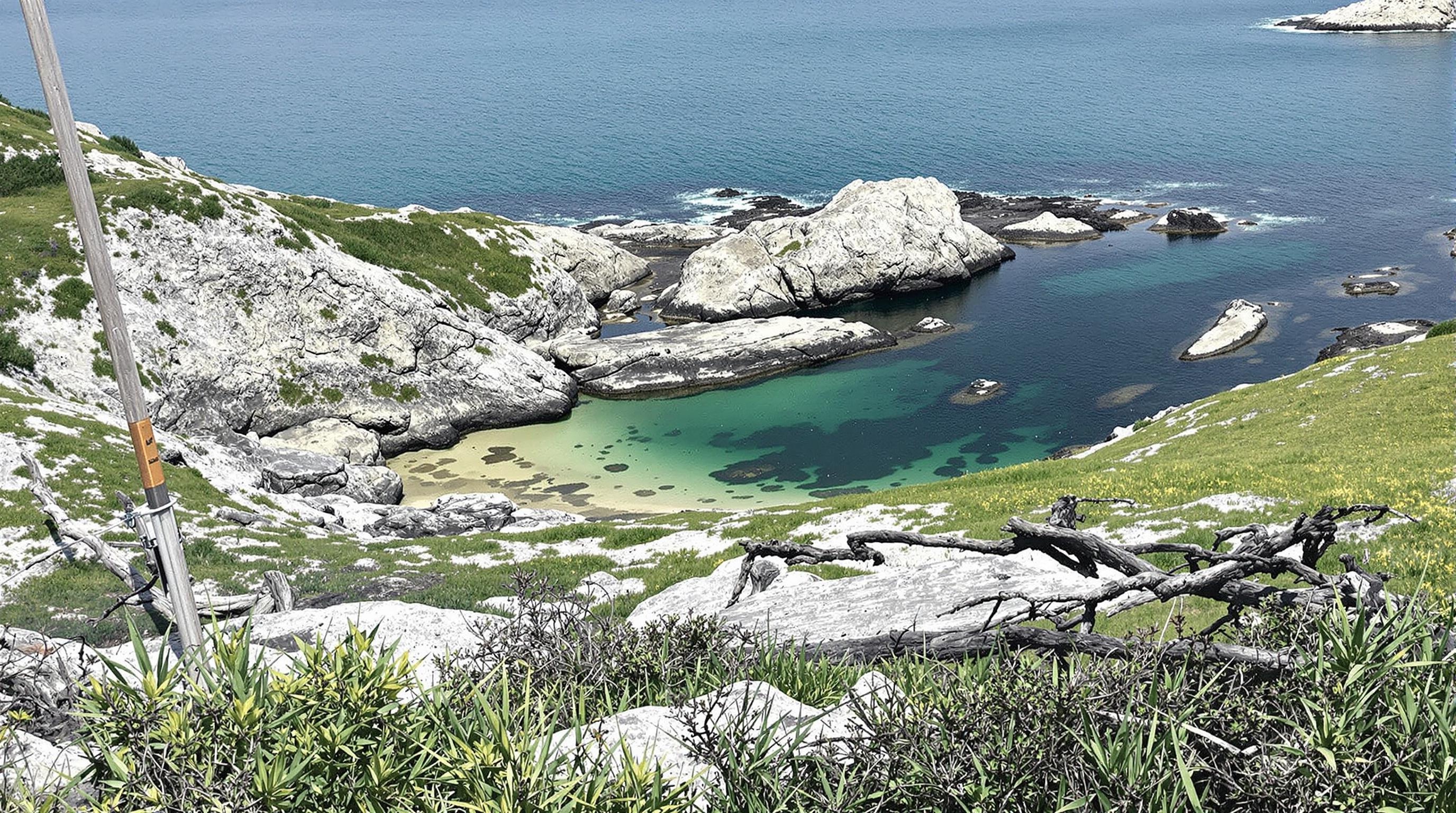 What Is a Coastal Inlet? Types, Functions & Features Explained